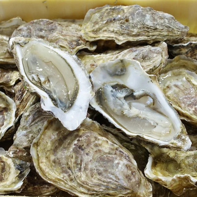 Il cibo
