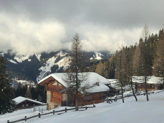 Foto esterno Appartamento in baita Ai Larici