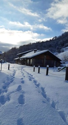 Foto esterno Ristorante Ca’ Praudin