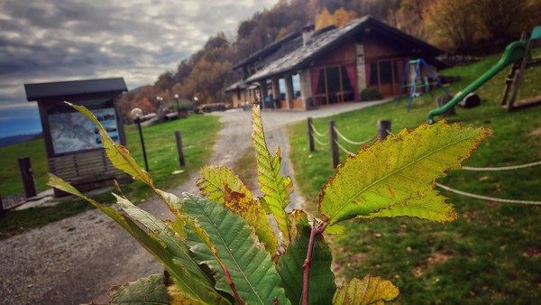 Foto esterno Ristorante Ca’ Praudin