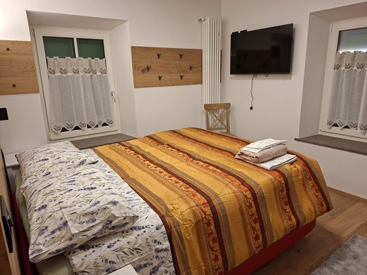 Photo of the room Apartment Ciasa Patek