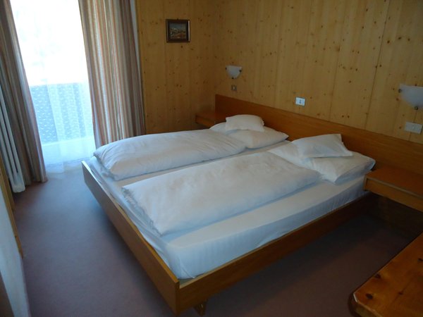 Photo of the room Hotel Alisander