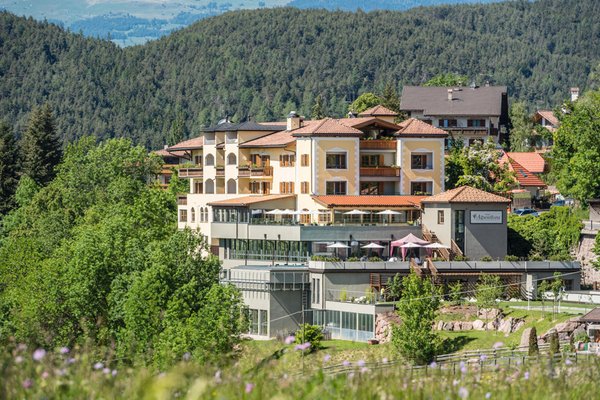 Foto estiva di presentazione Hotel Alpenflora