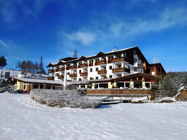 Foto esterno in inverno Pinei Nature & Spirit