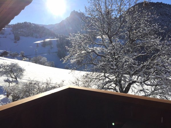 Vista dalla struttura