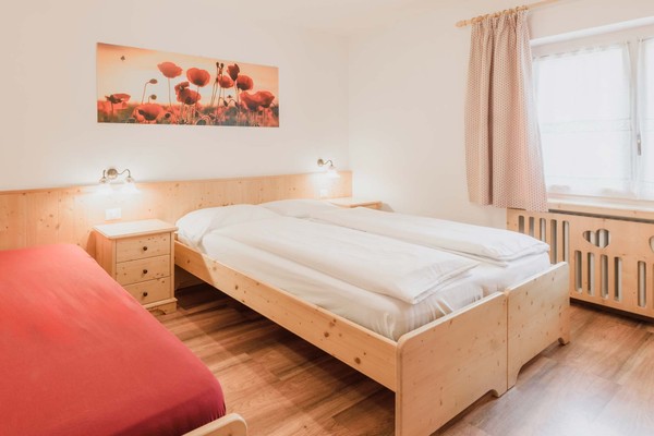 Photo of the room Apartment Misurina