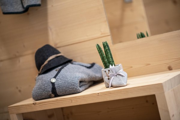Foto di alcuni dettagli Pötzes