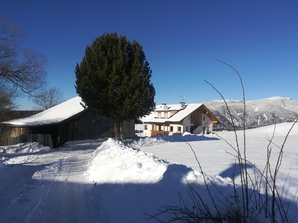 Foto Außenansicht im Winter Villa Schönau