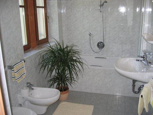 Foto del bagno Appartamenti Tannenheim