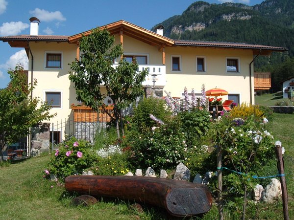 Foto esterno in estate Haus Sabina