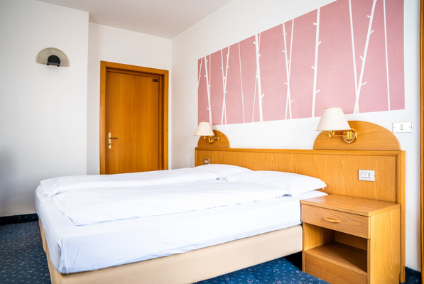 Photo of the room Enrosadira Hotel