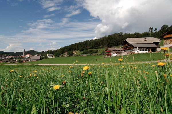 La posizione Appartamenti in agriturismo Feger Castelrotto