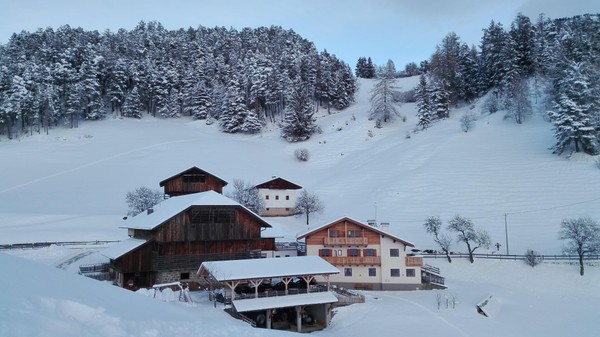 Foto Außenansicht Ferienwohnungen auf dem Bauernhof Parnoa
