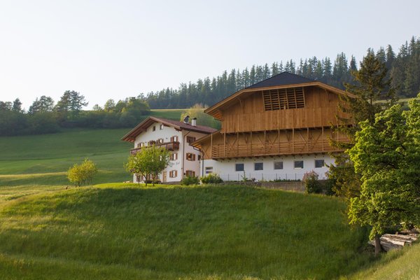 Foto esterno in estate Pliegerhof
