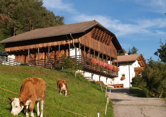 Photo exteriors Farmhouse apartments Pilgramhof