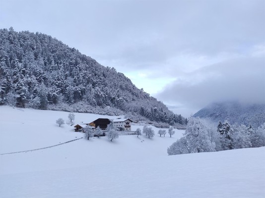 Foto Außenansicht Ferienwohnungen auf dem Bauernhof Pilgramhof
