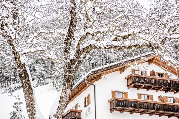Foto Außenansicht Ferienwohnungen auf dem Bauernhof Puntschuhof