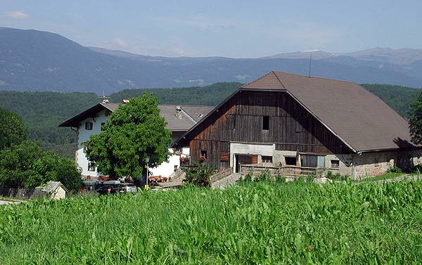Foto Außenansicht Ferienwohnungen auf dem Bauernhof Tomasöthof
