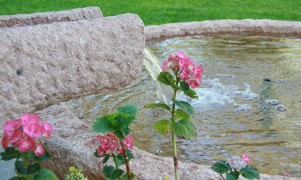 Foto del giardino Siusi allo Sciliar