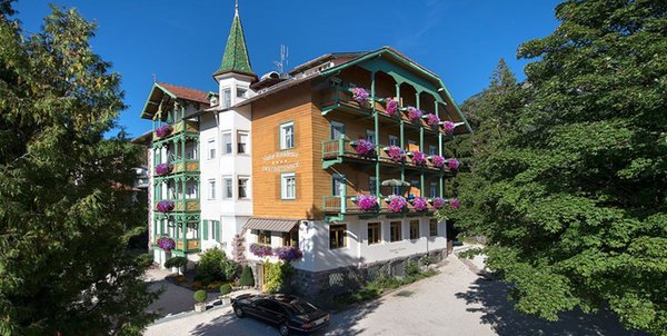 Foto estiva di presentazione Residence Dolomitenhof