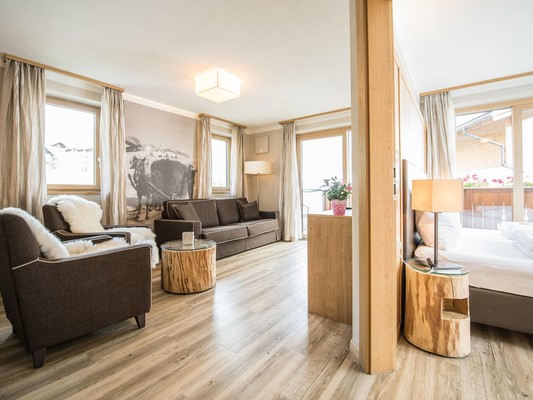 Photo of the room Apartment Sella