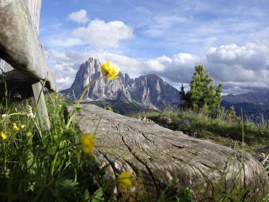 Bildergalerie Sommer