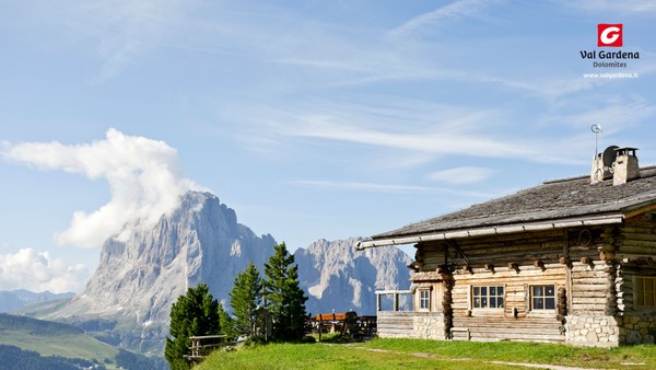 Bildergalerie Sommer