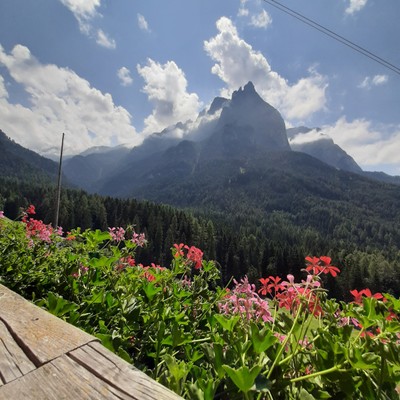 Aussicht vom Betrieb
