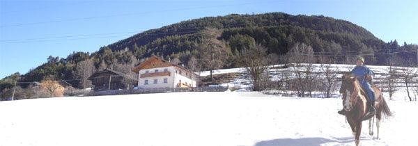 Foto esterno Appartamenti in agriturismo Obermalid