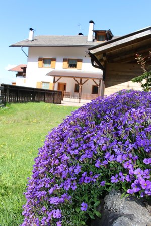 Foto del giardino Siusi allo Sciliar