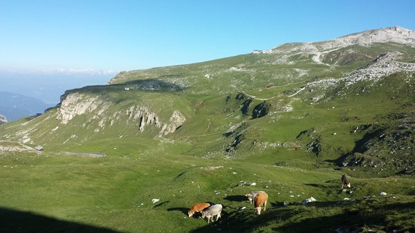 Gallery Alpe di Siusi estate