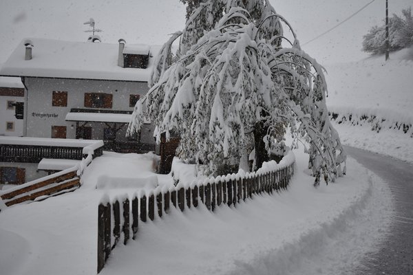 Foto esterno in inverno Bergmyrthe