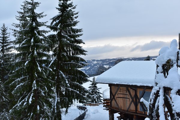 Foto esterno in inverno Bergmyrthe