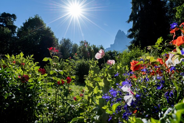 Foto vom Garten Völs am Schlern