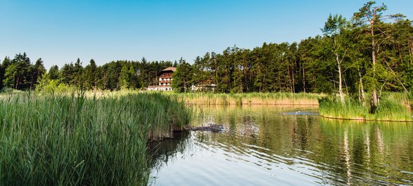 La posizione Hotel Waldsee Fiè allo Sciliar