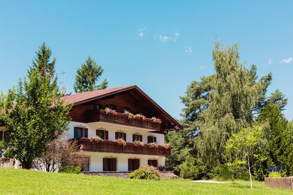 Foto esterno in estate Waldsee
