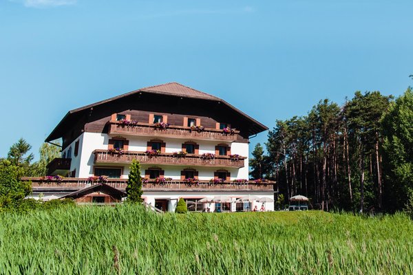 Summer presentation photo Waldsee - Hotel 3 stars
