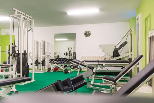 Foto della zona fitness Hotel Waldsee