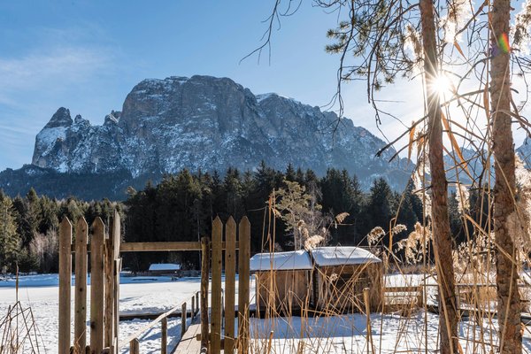 Bildergalerie Winter