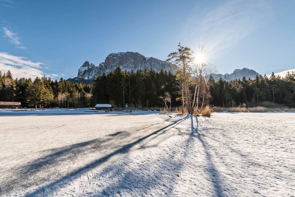 Bildergalerie Winter