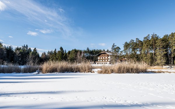 Foto invernale di presentazione Hotel Waldsee