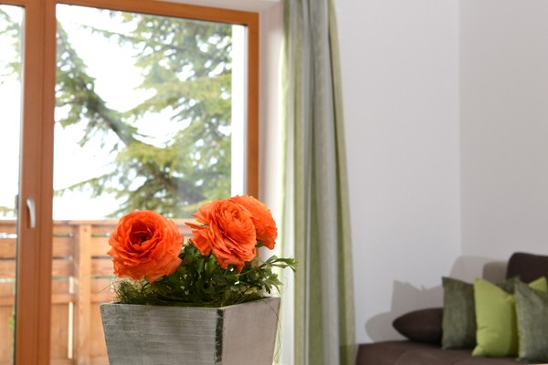 La zona giorno App. Heidi Pigneter