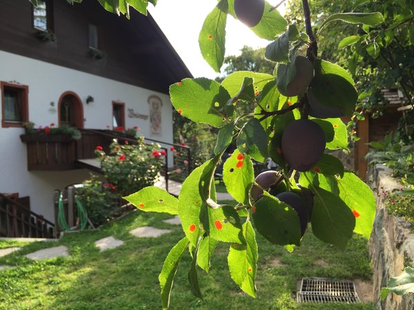 Foto del giardino Fiè allo Sciliar