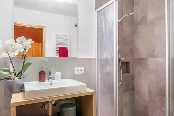 Foto del bagno Appartamenti in agriturismo Gfliererhof