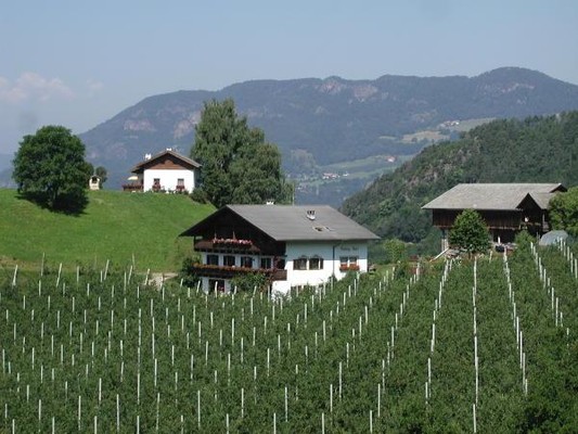 Foto esterno Appartamenti in agriturismo Biolandhof Hanig