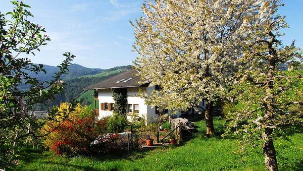 Immagine Appartamenti in agriturismo Biolandhof Hanig