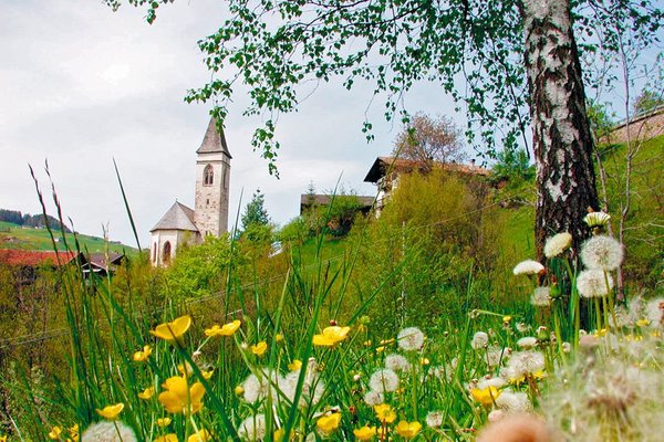 La posizione Appartamenti in agriturismo Pulserhof Fiè allo Sciliar