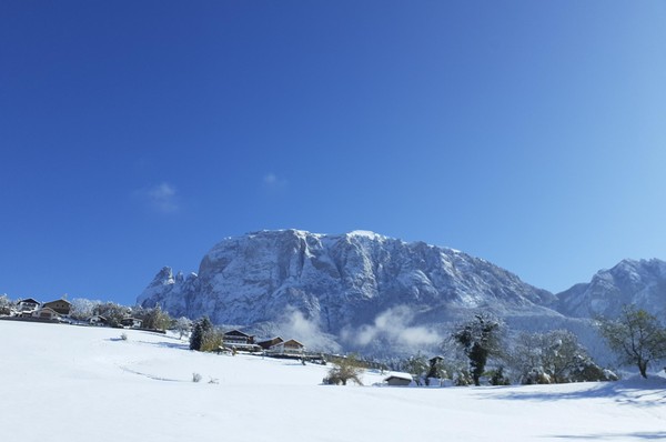 Foto Außenansicht Ferienwohnungen auf dem Bauernhof Runkerhof