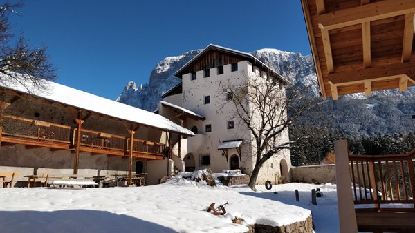Foto esterno in inverno Edelansitz Zimmerlehen