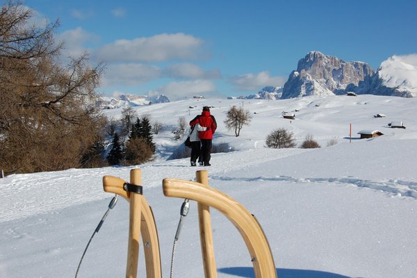 Attività invernali Alpe di Siusi